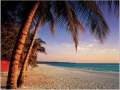 2044-561-sa-sunset-beach-palms