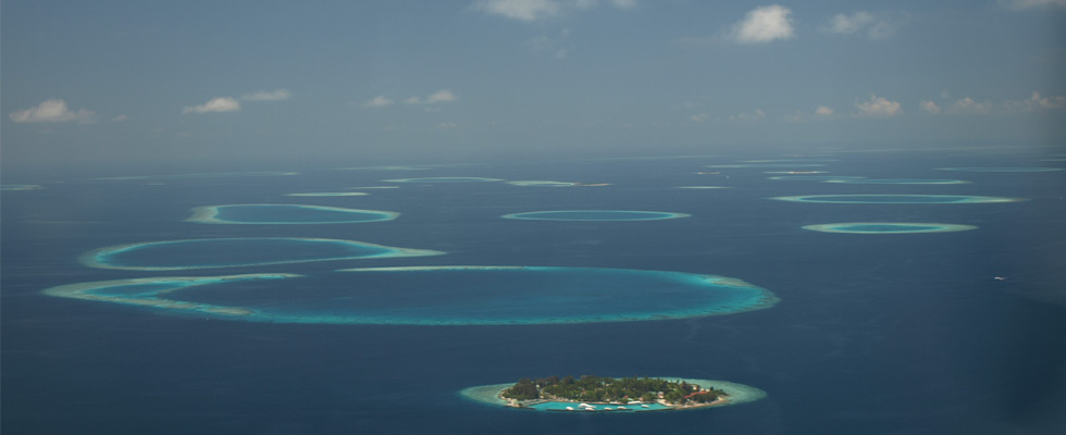 Flitterwochen auf den Malediven