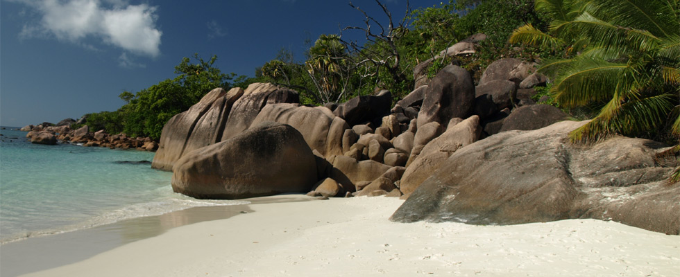 Hochzeit auf den Seychellen